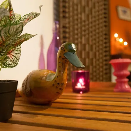 Casa Da Horta Acores Feriehus Ponta Delgada