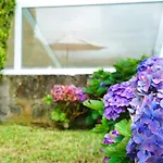 Casa Da Horta Acores