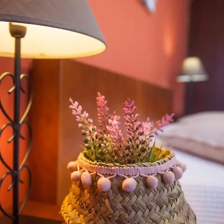 Casa Da Horta Acores Semesterbostad *