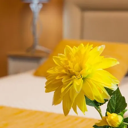 Semesterbostad Casa Da Horta Acores